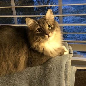 Meet your Posher, Martene